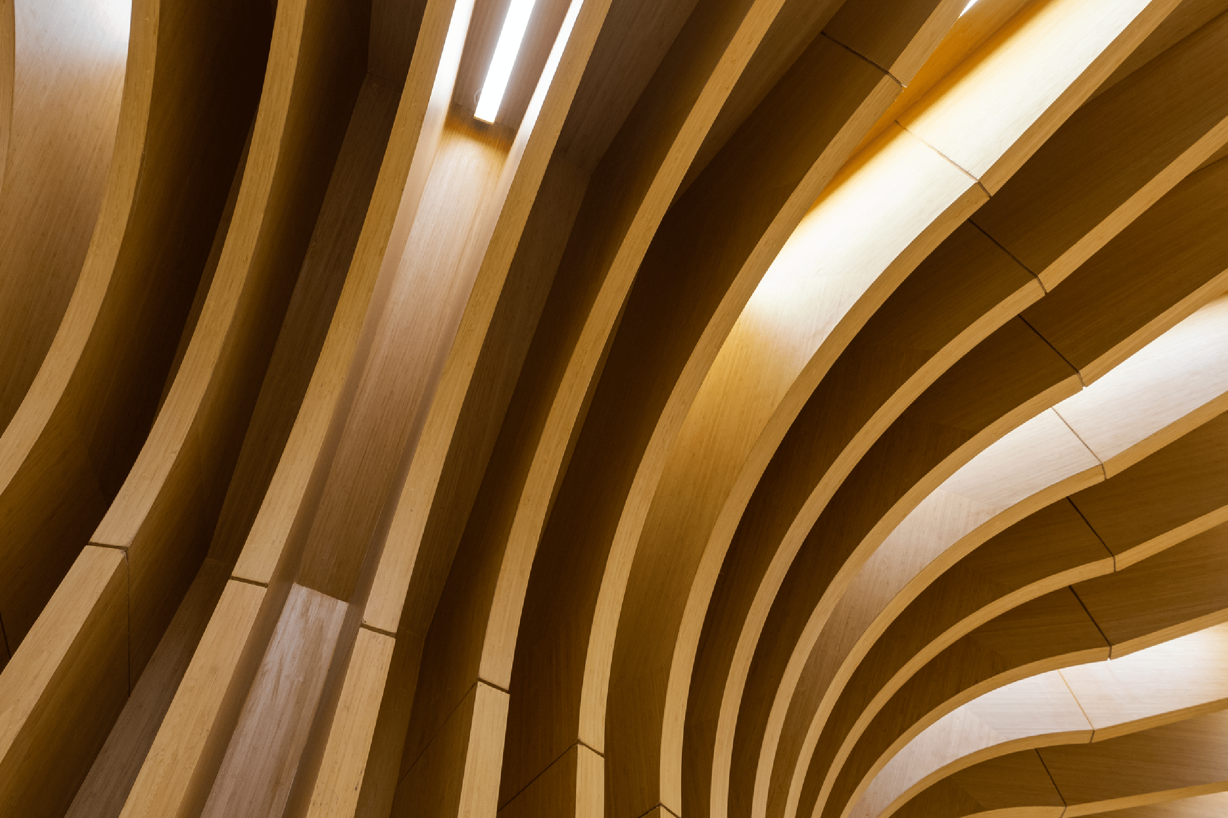 curved wood panels with light shining through