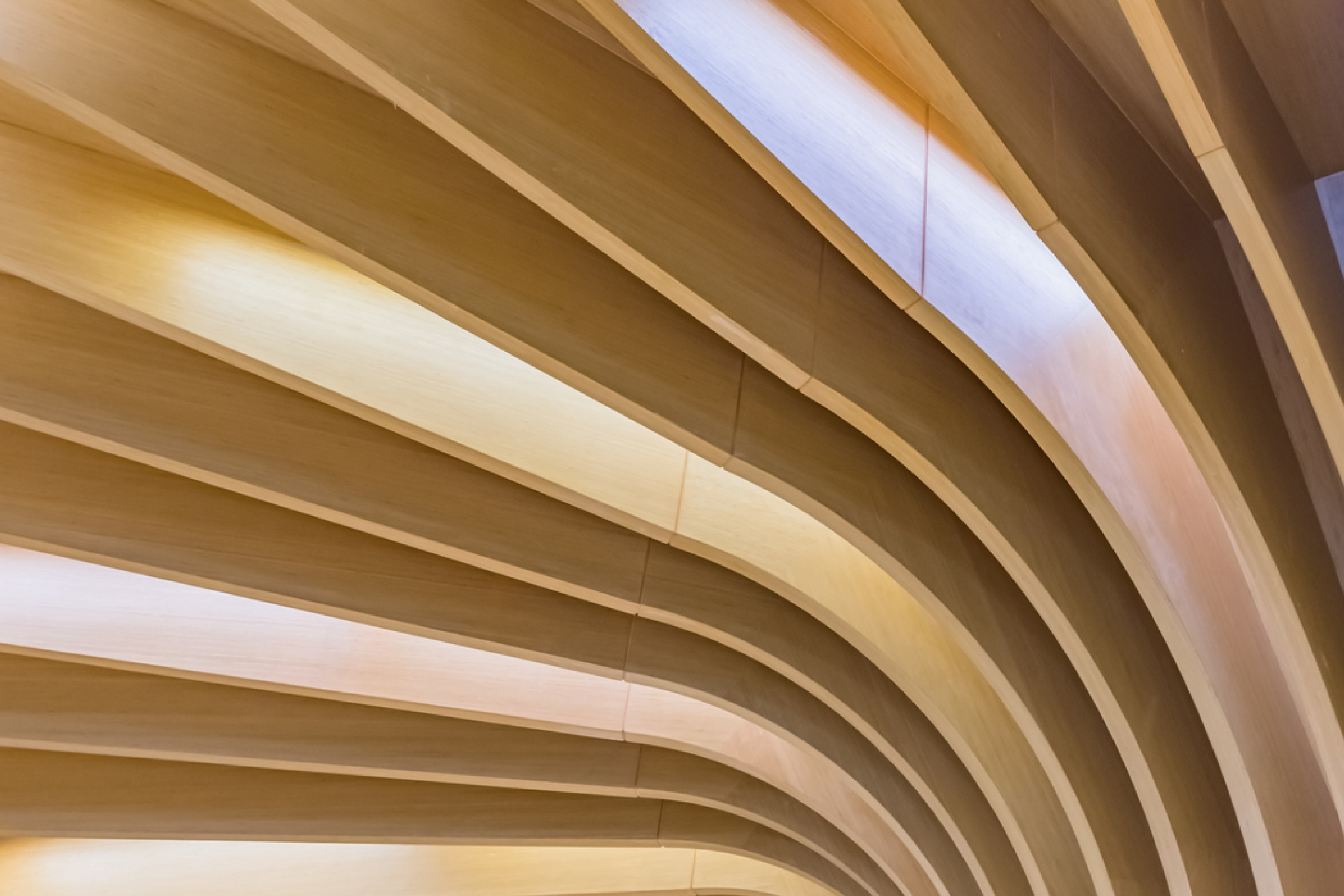 curved ceiling baffles