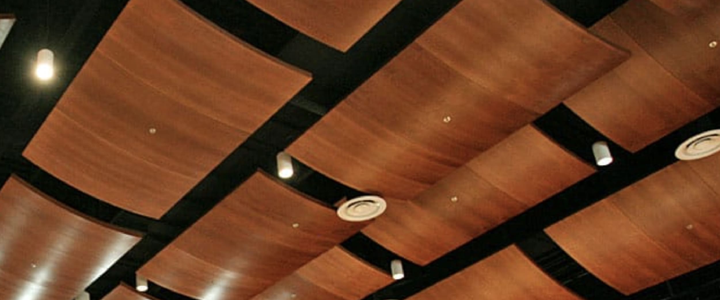 curved ceiling baffles with a warm wood veneer finish
